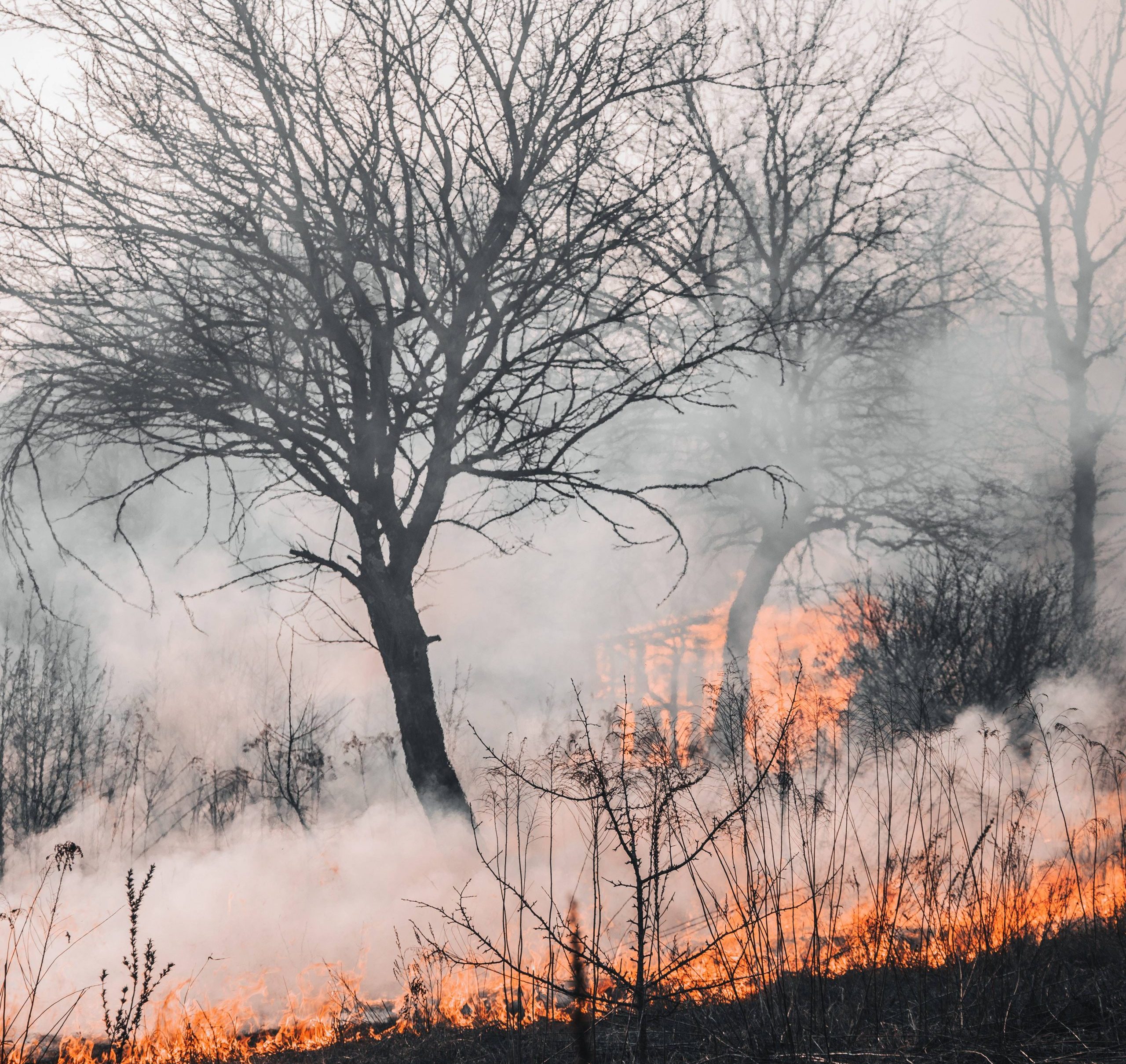 Golden Time for Wildfire Detection
