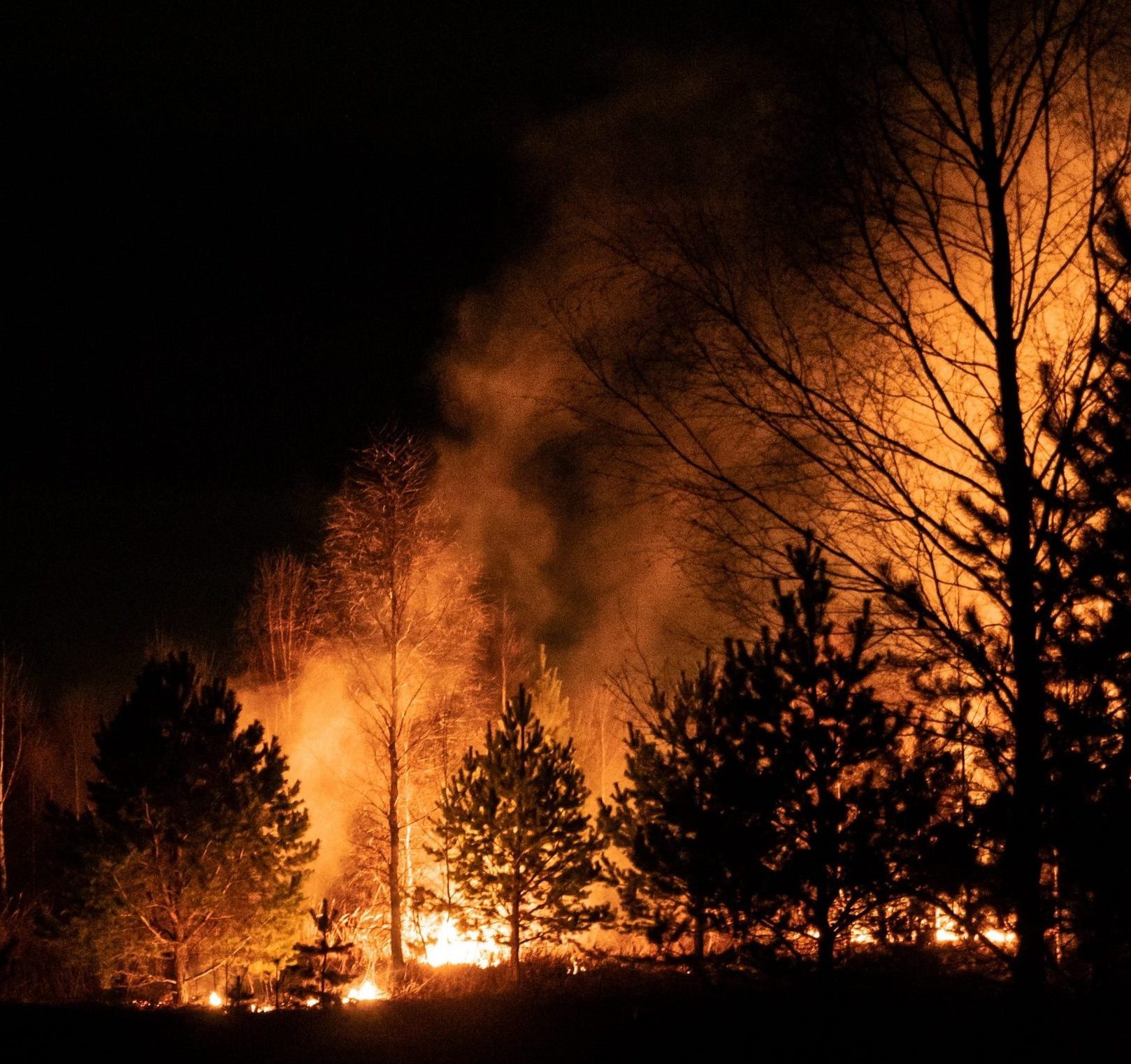 Tech solutions For Wildfire Detection